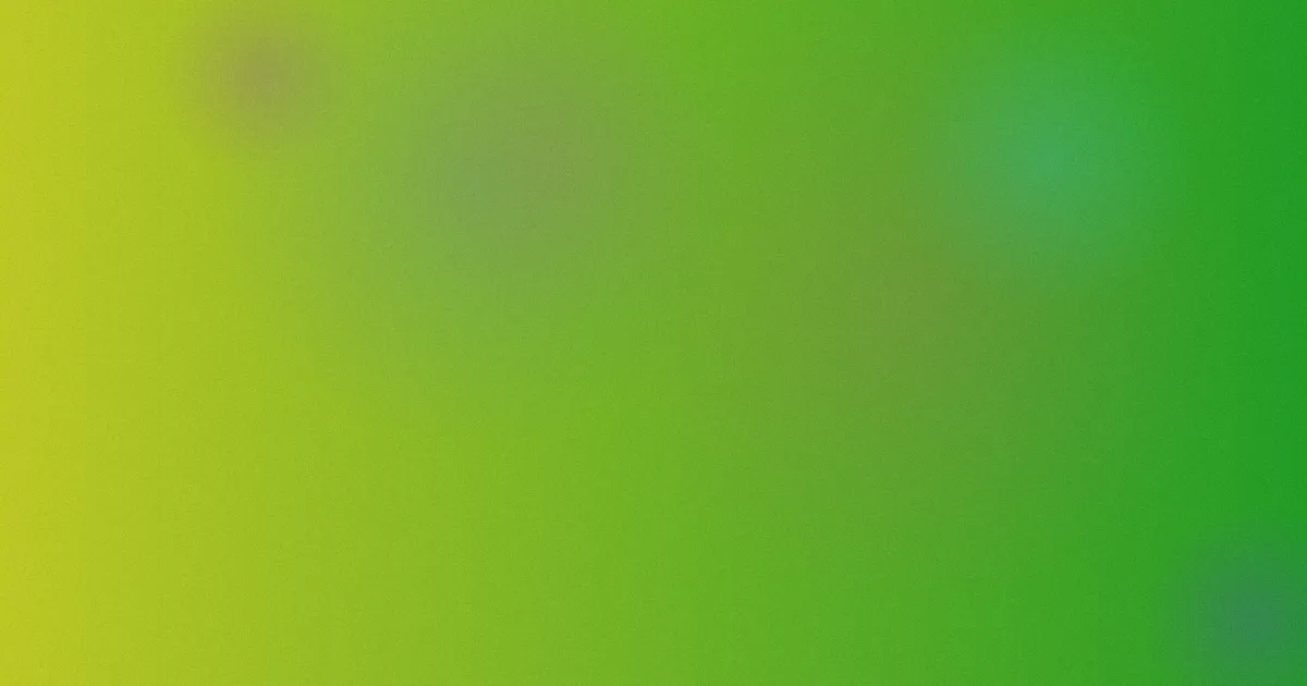 gondola推荐：新手怎么选